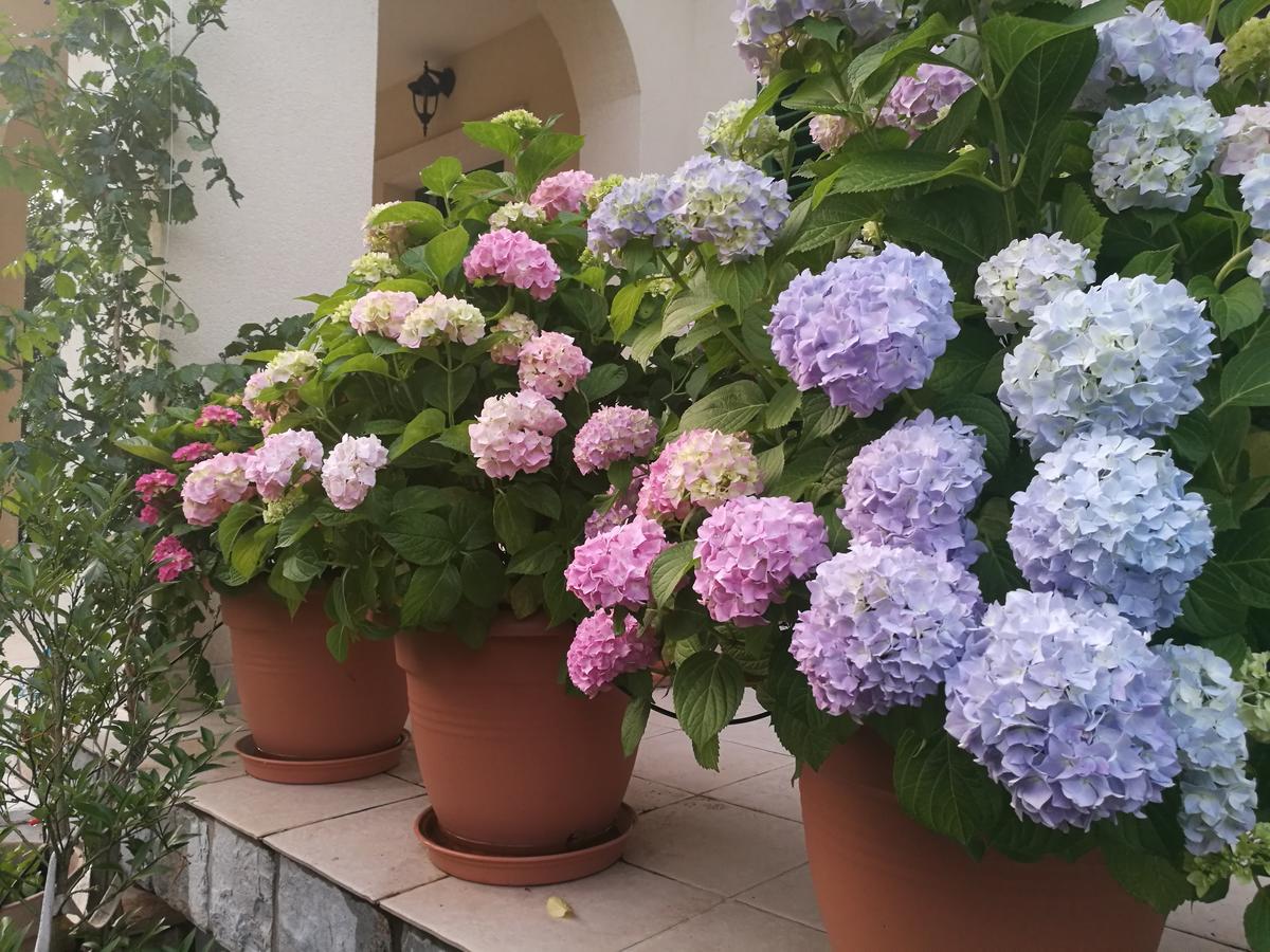 Apartment Barbina Kastelina Sveti Juraj